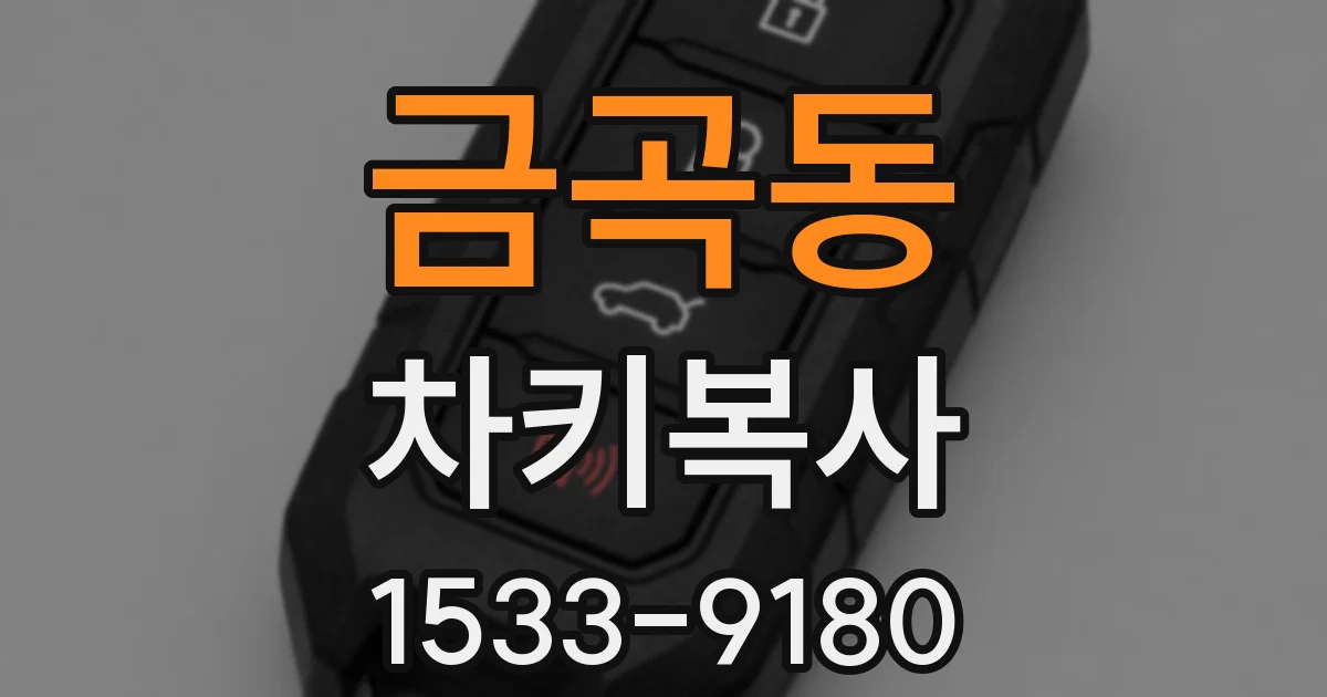 금곡동 차키복사