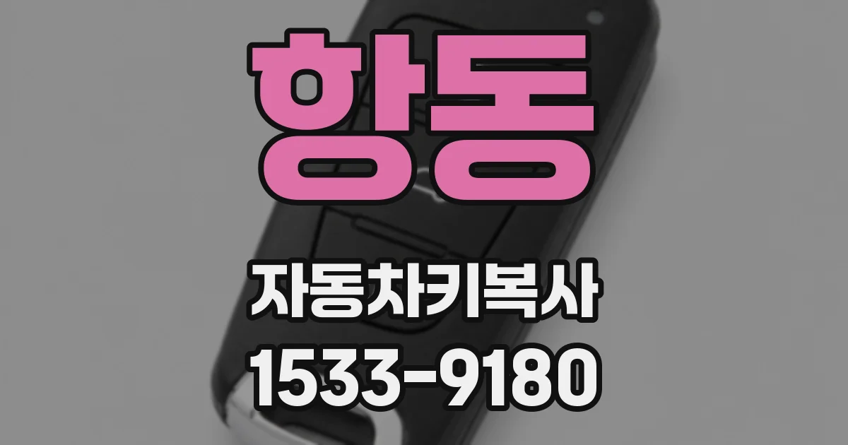 항동 자동차키복사