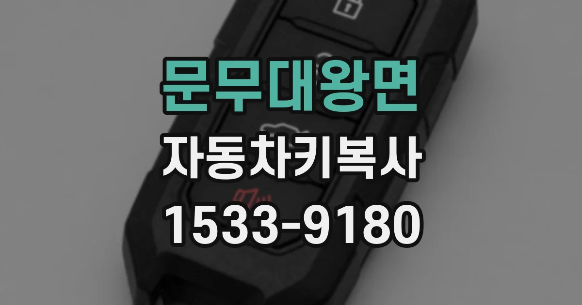 문무대왕면 자동차키복사