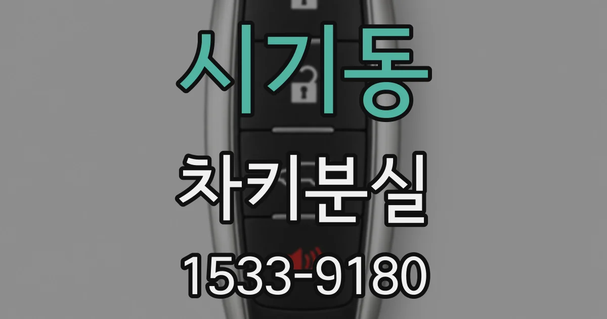시기동 차키분실