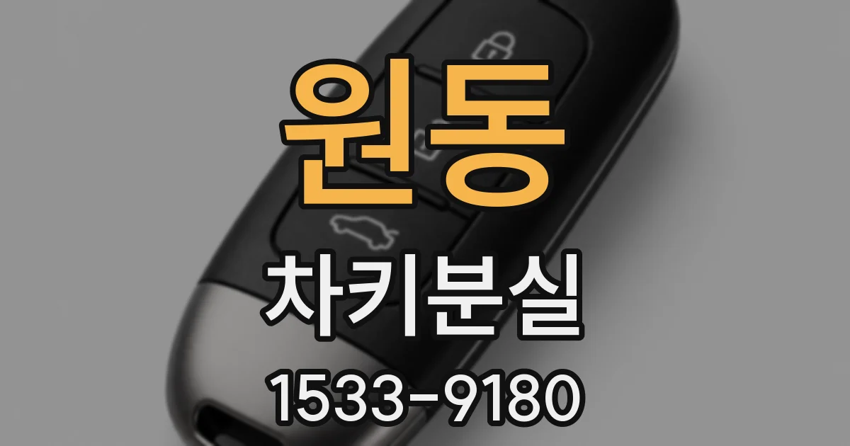 원동 차키분실