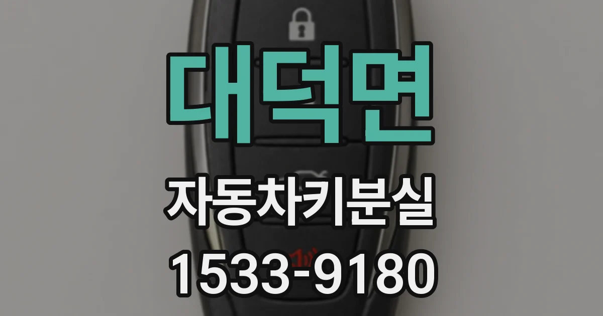 대덕면 자동차키분실
