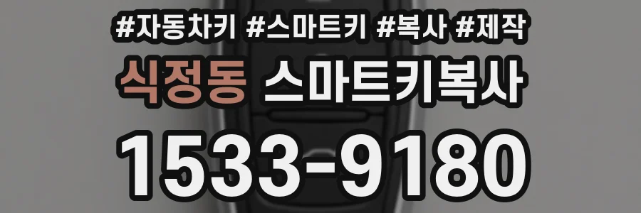 식정동 스마트키복사