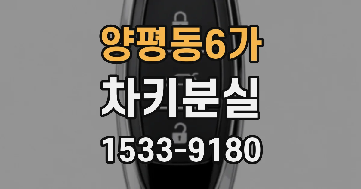 양평동6가 차키분실