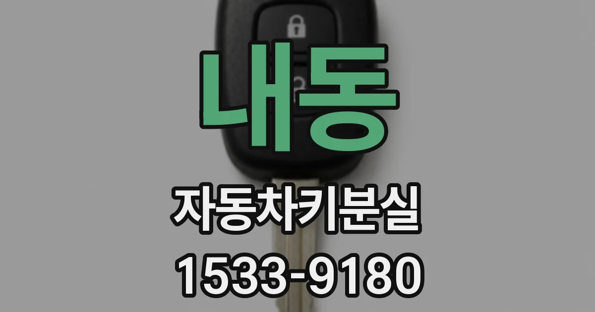내동 자동차키분실