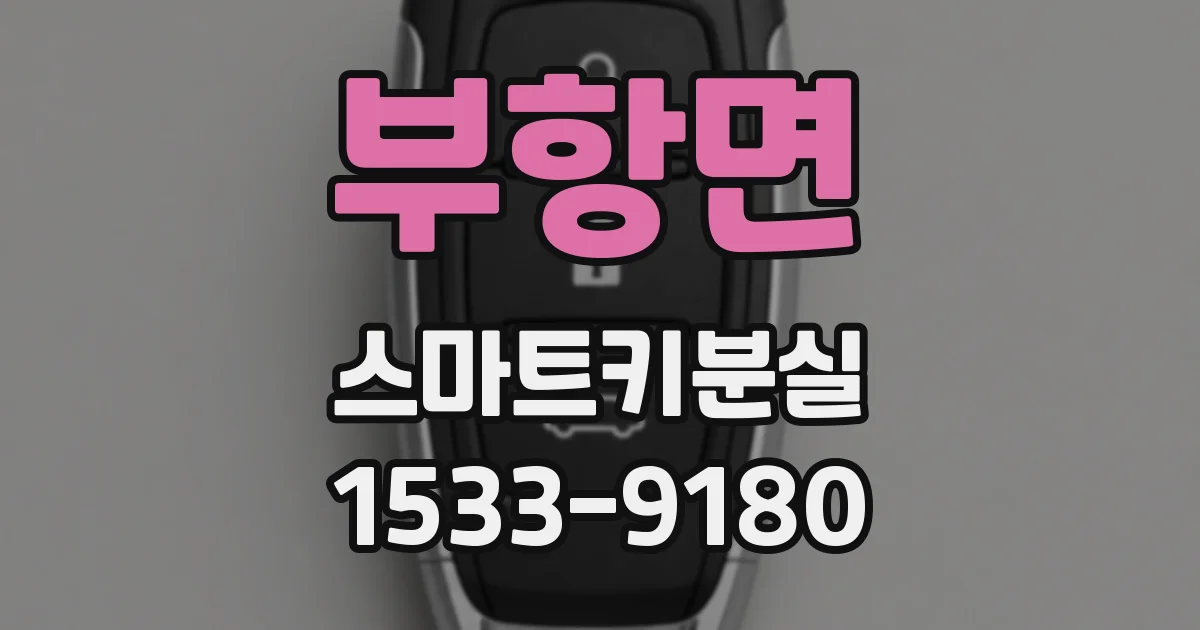 부항면 스마트키분실