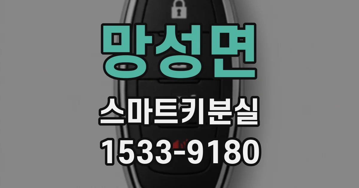 망성면 스마트키분실