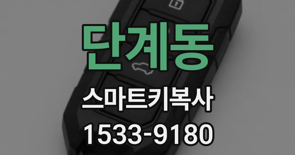 단계동 스마트키복사
