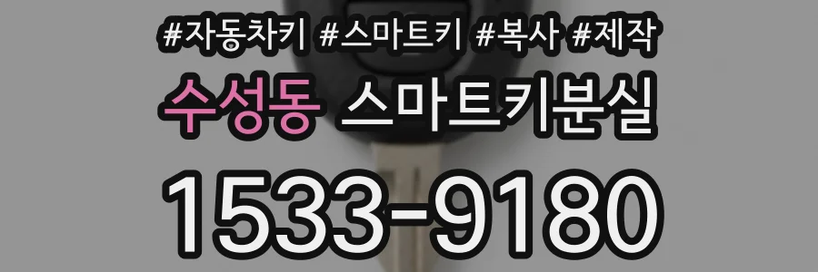 수성동 스마트키분실