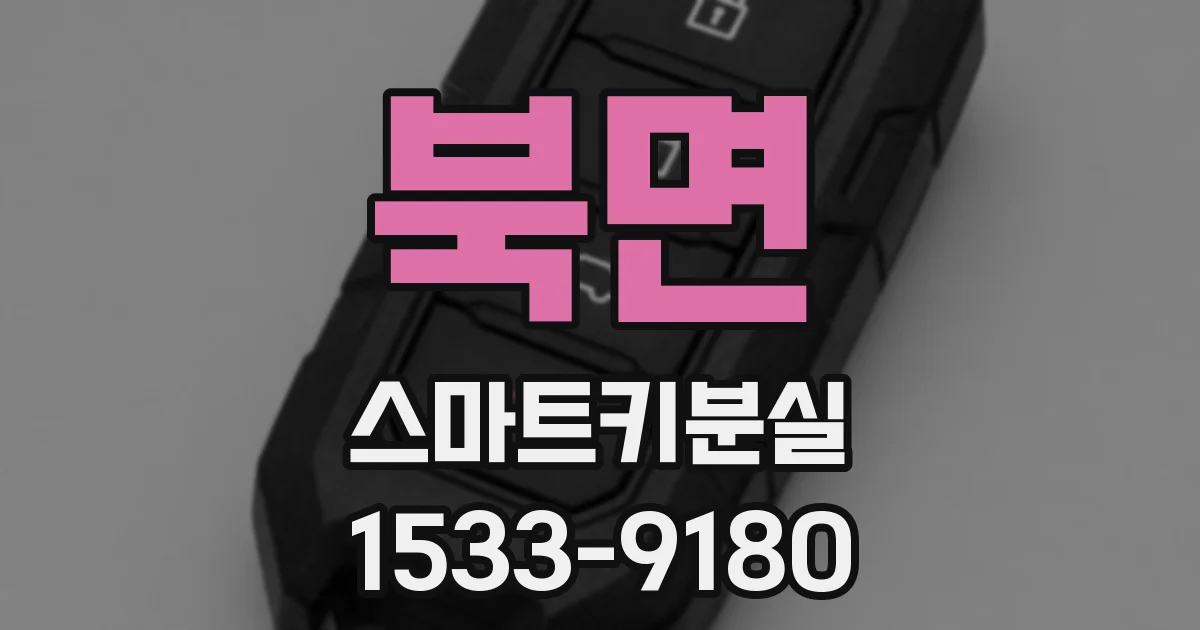 북면 스마트키분실