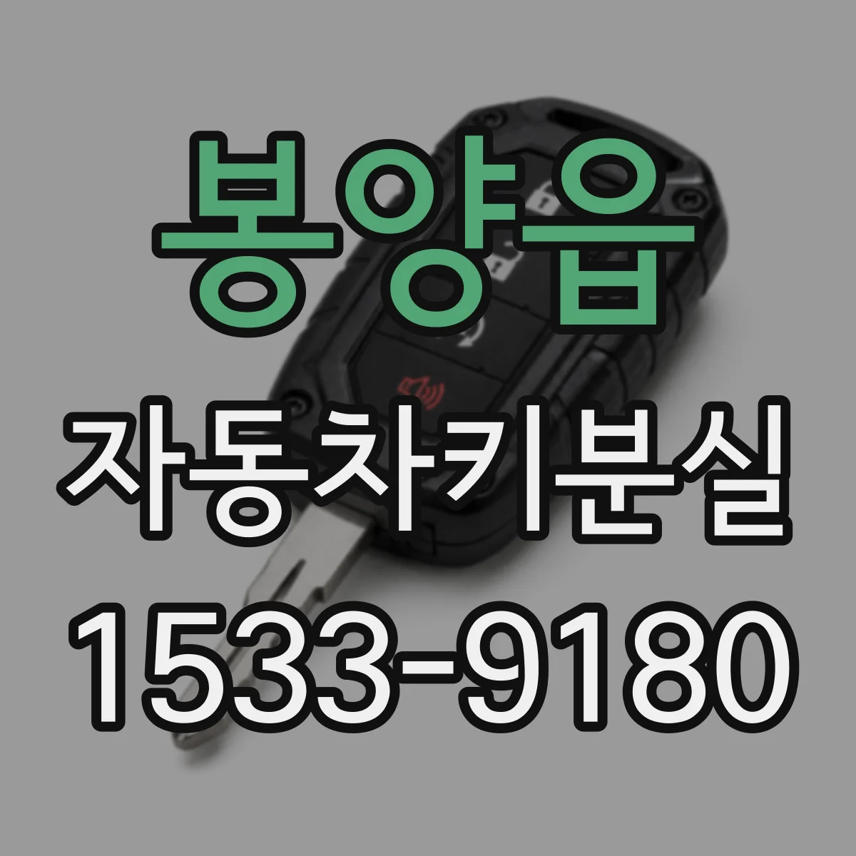 봉양읍 자동차키분실
