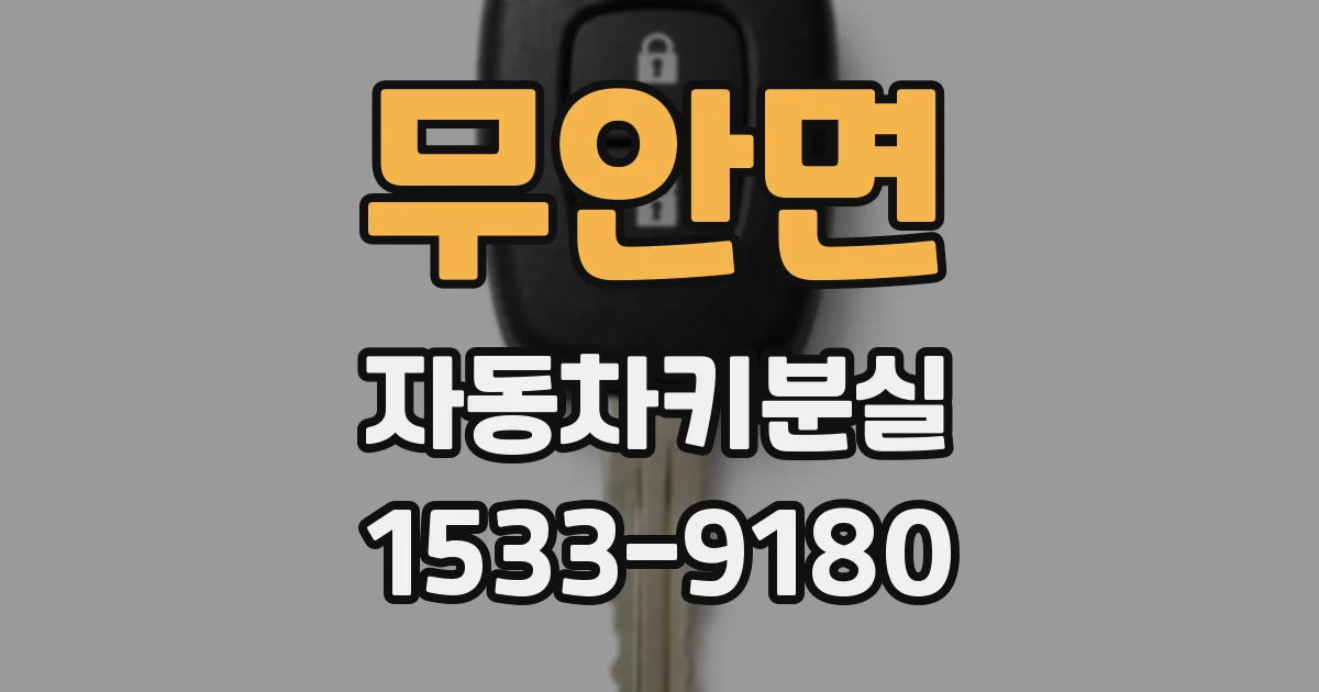 무안면 자동차키분실