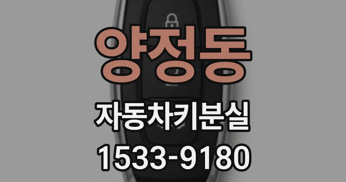 양정동 자동차키분실