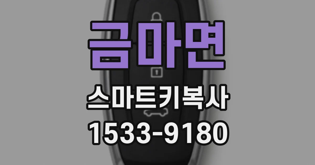 금마면 스마트키복사
