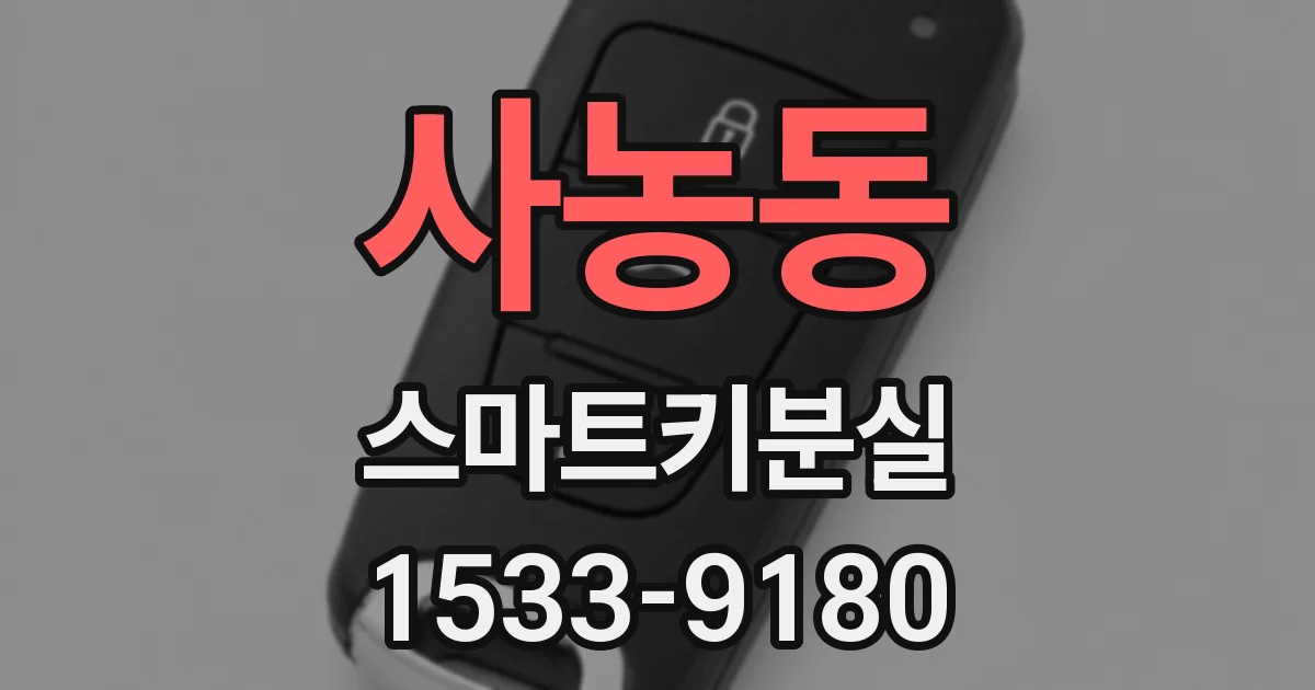 사농동 스마트키분실