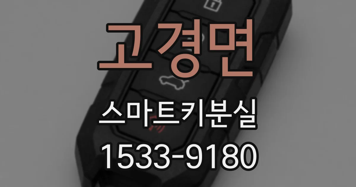고경면 스마트키분실