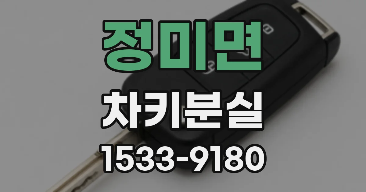 정미면 차키분실