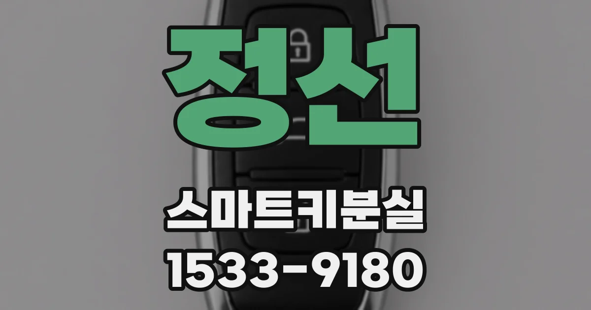 정선 스마트키분실