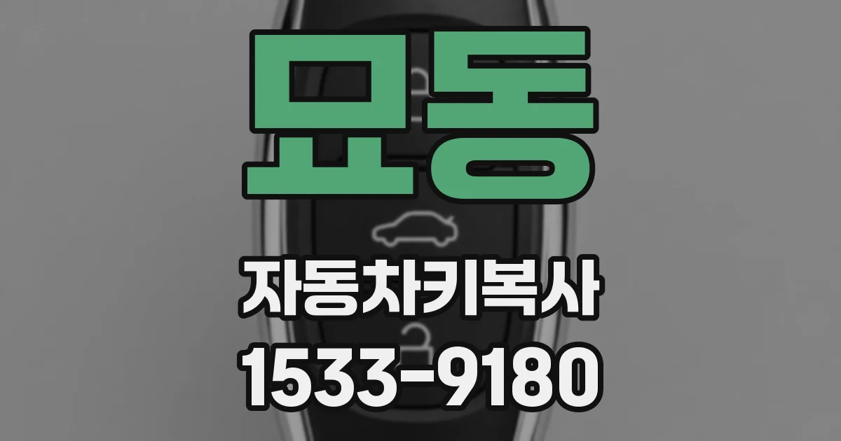 묘동 자동차키복사