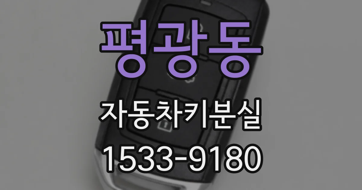 평광동 자동차키분실
