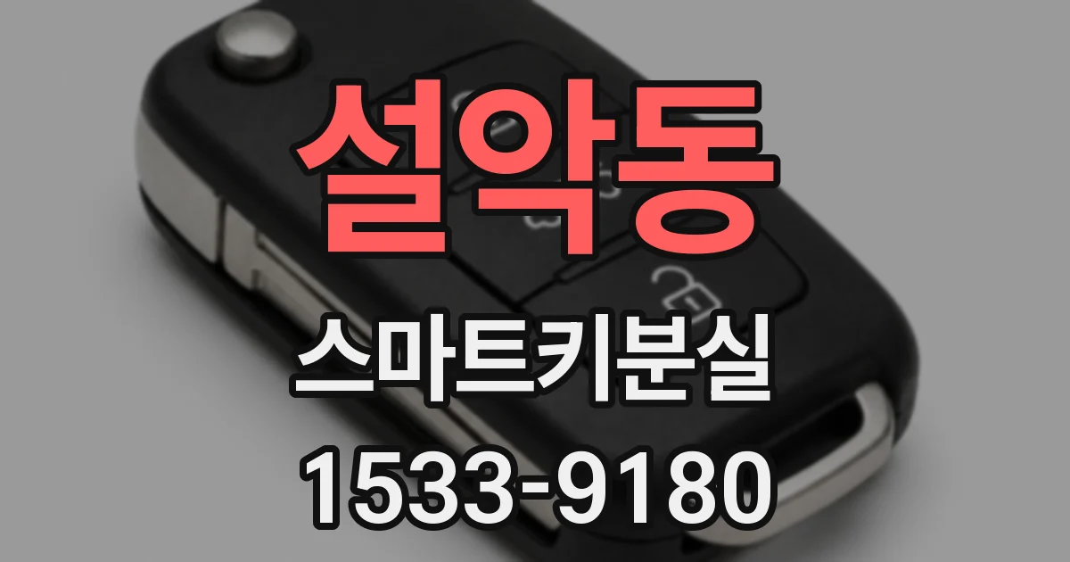 설악동 스마트키분실