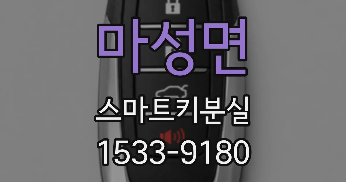 마성면 스마트키분실