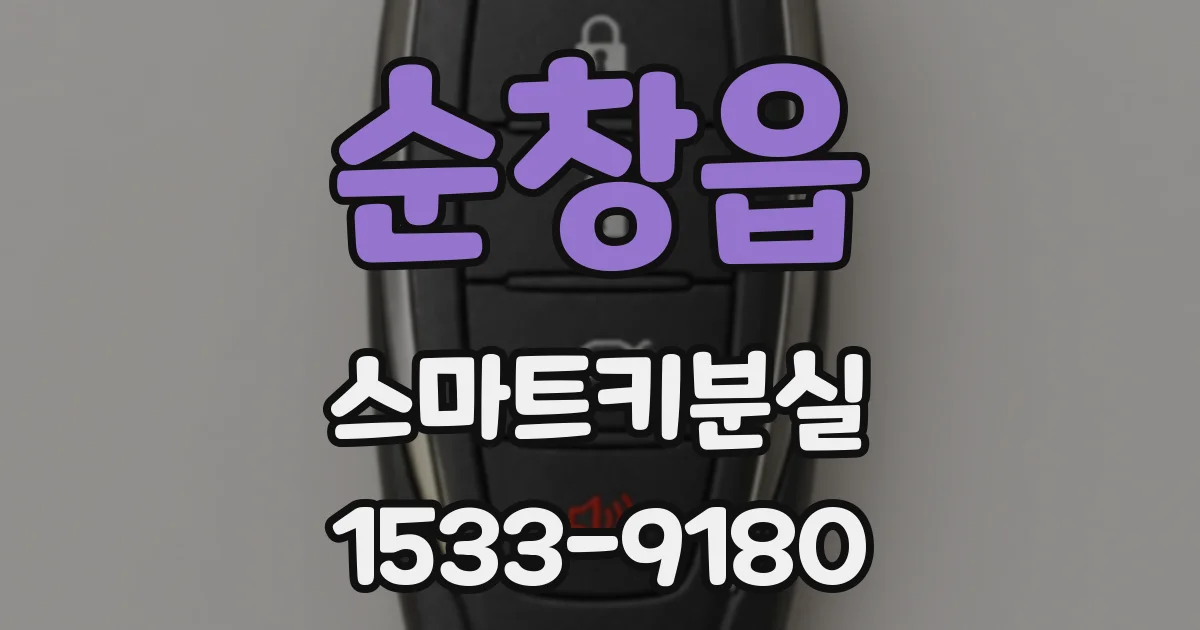 순창읍 스마트키분실