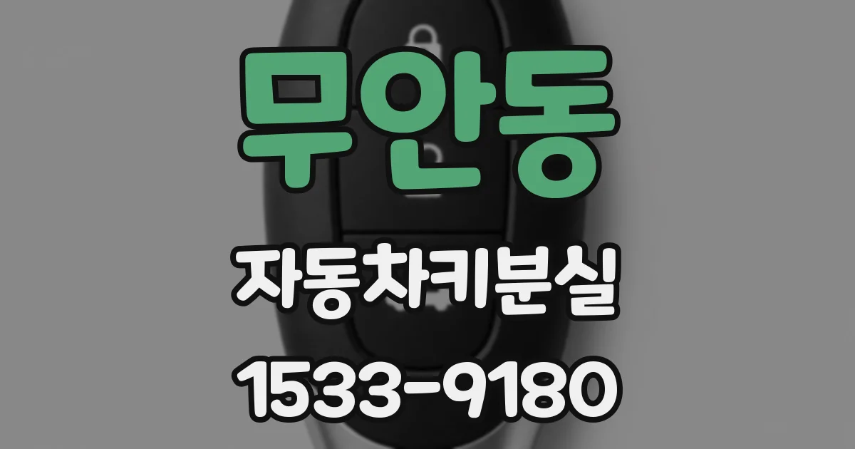 무안동 자동차키분실