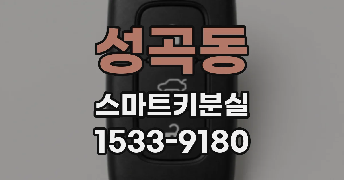 성곡동 스마트키분실
