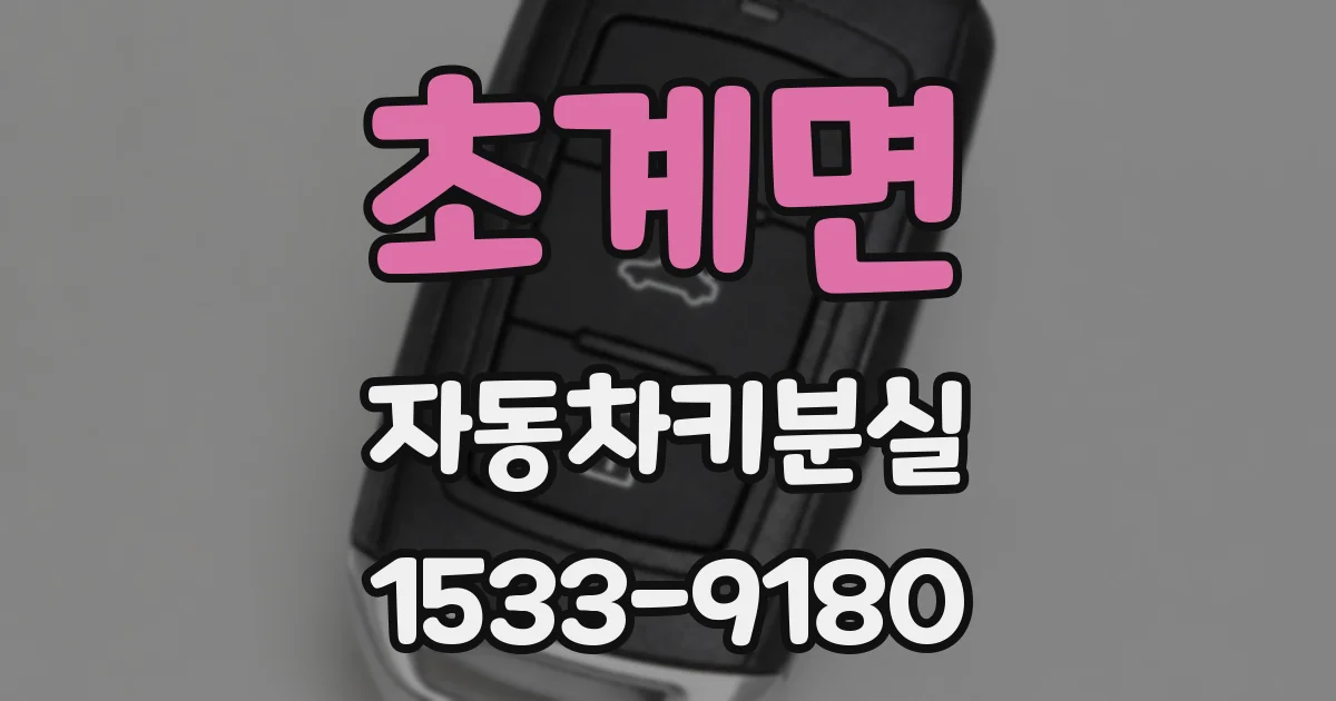 초계면 자동차키분실