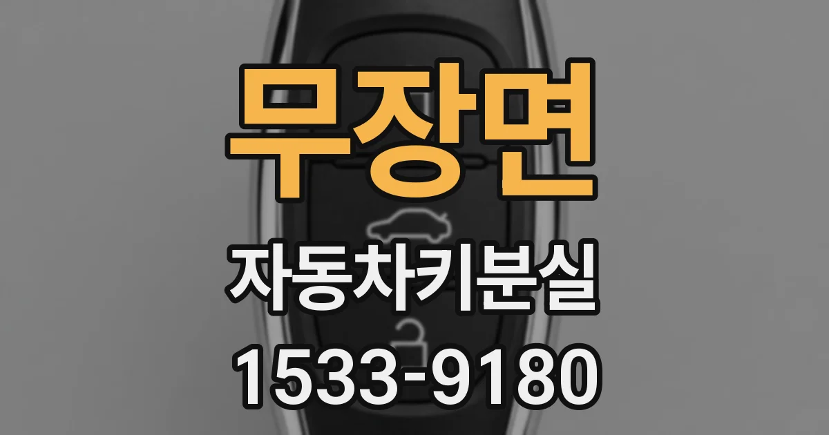 무장면 자동차키분실