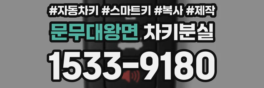 문무대왕면 차키분실