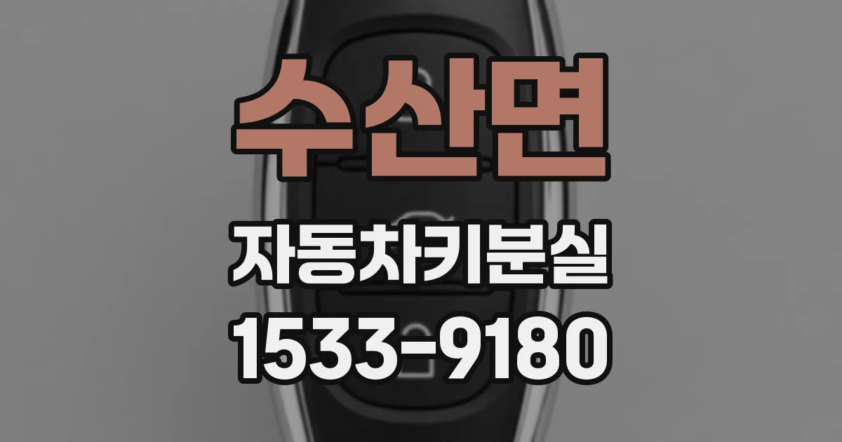 수산면 자동차키분실