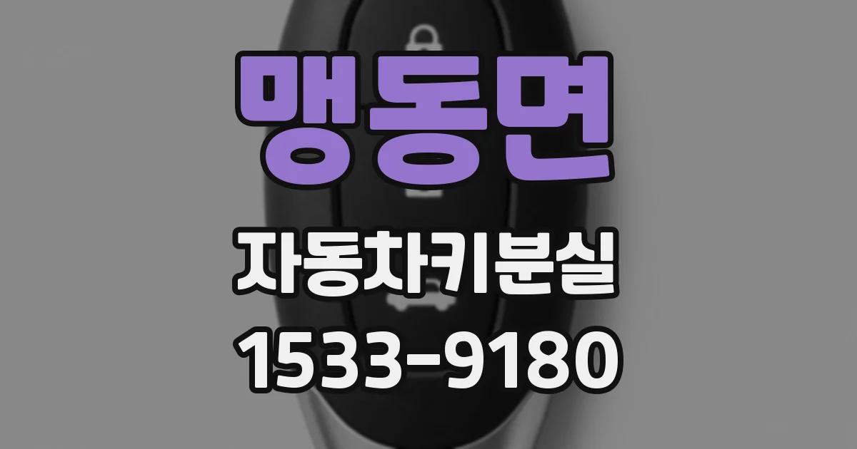 맹동면 자동차키분실