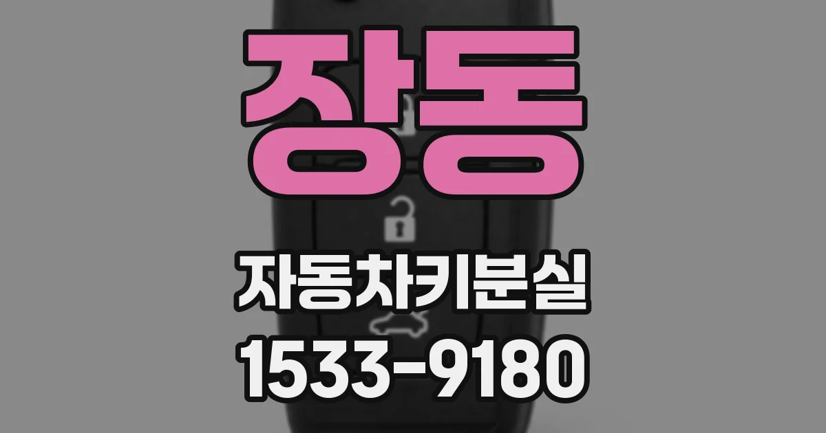 장동 자동차키분실
