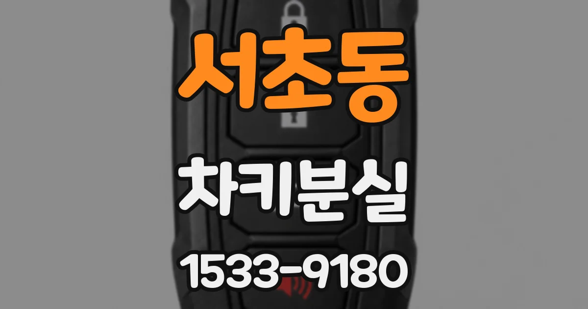 서초동 차키분실