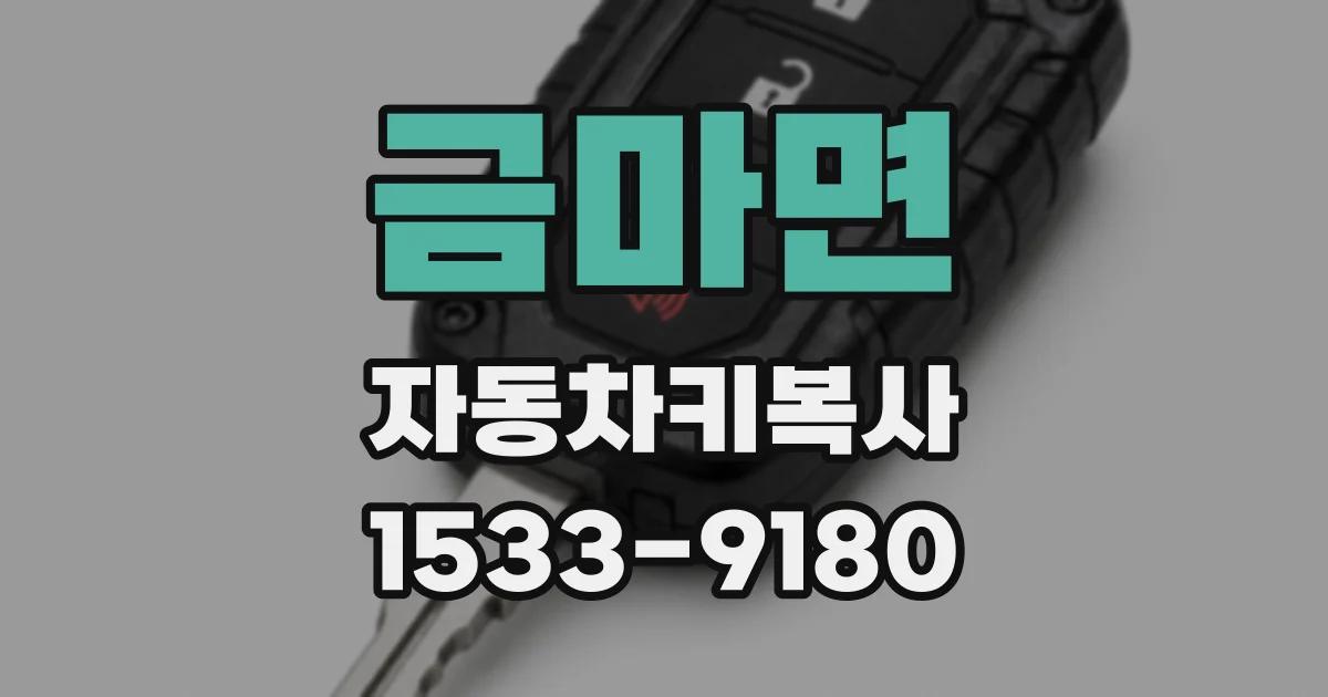 금마면 자동차키복사