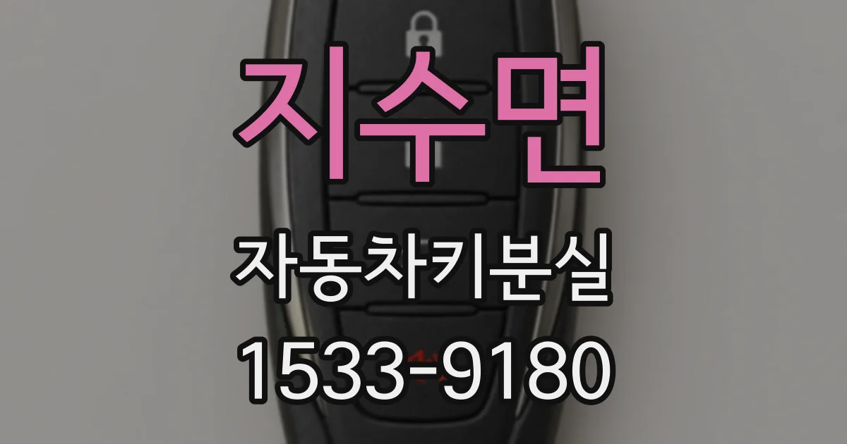 지수면 자동차키분실
