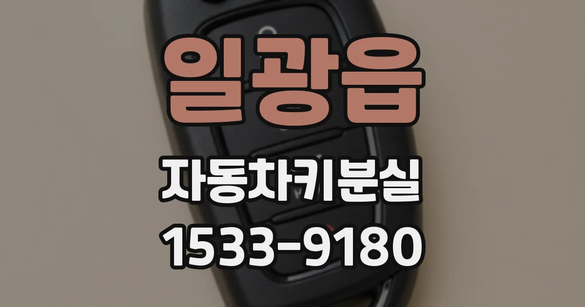 일광읍 자동차키분실
