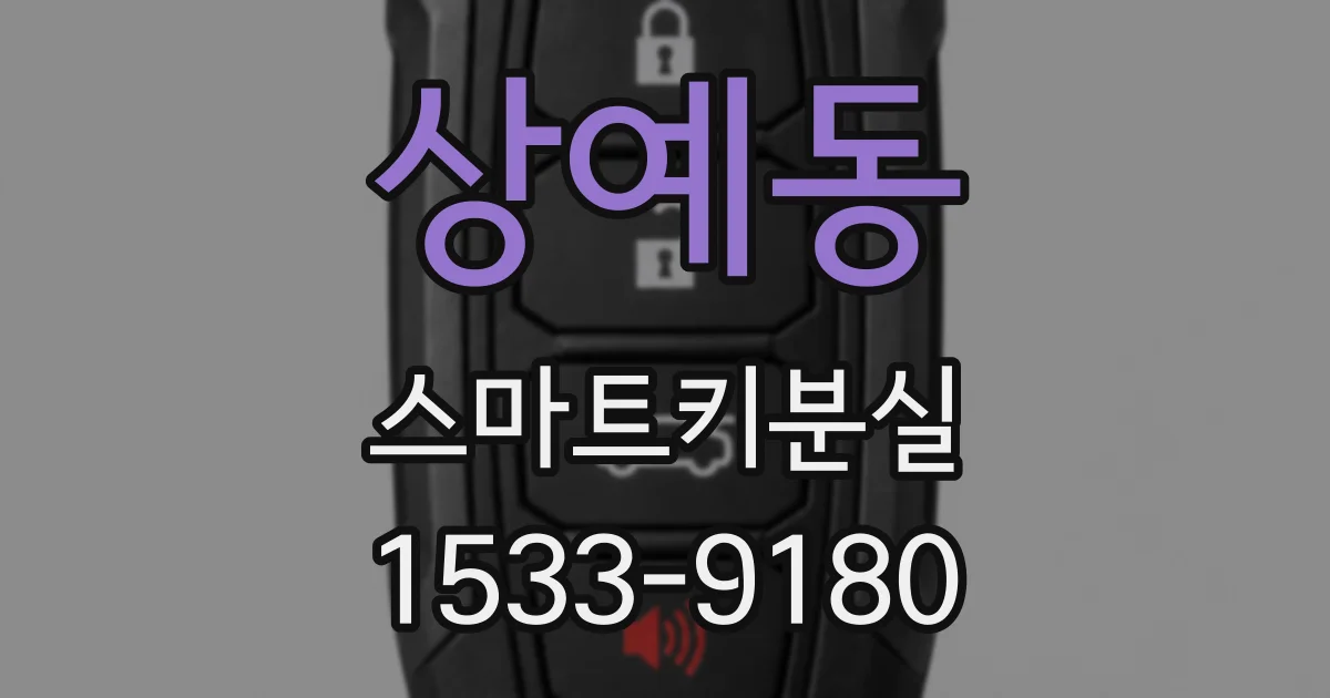 상예동 스마트키분실