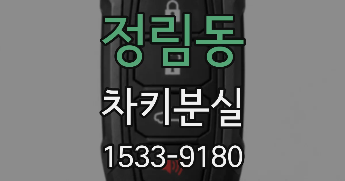 정림동 차키분실