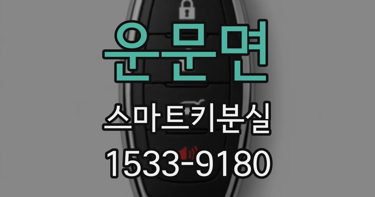 운문면 스마트키분실