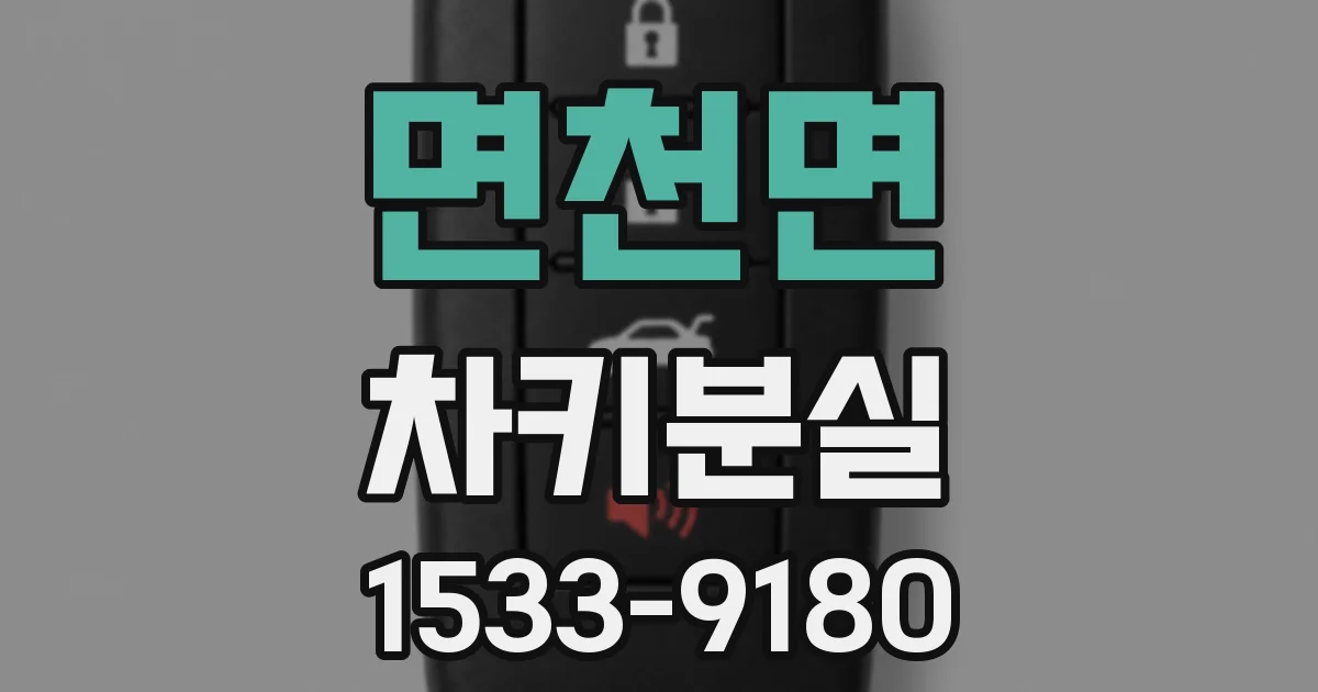 면천면 차키분실