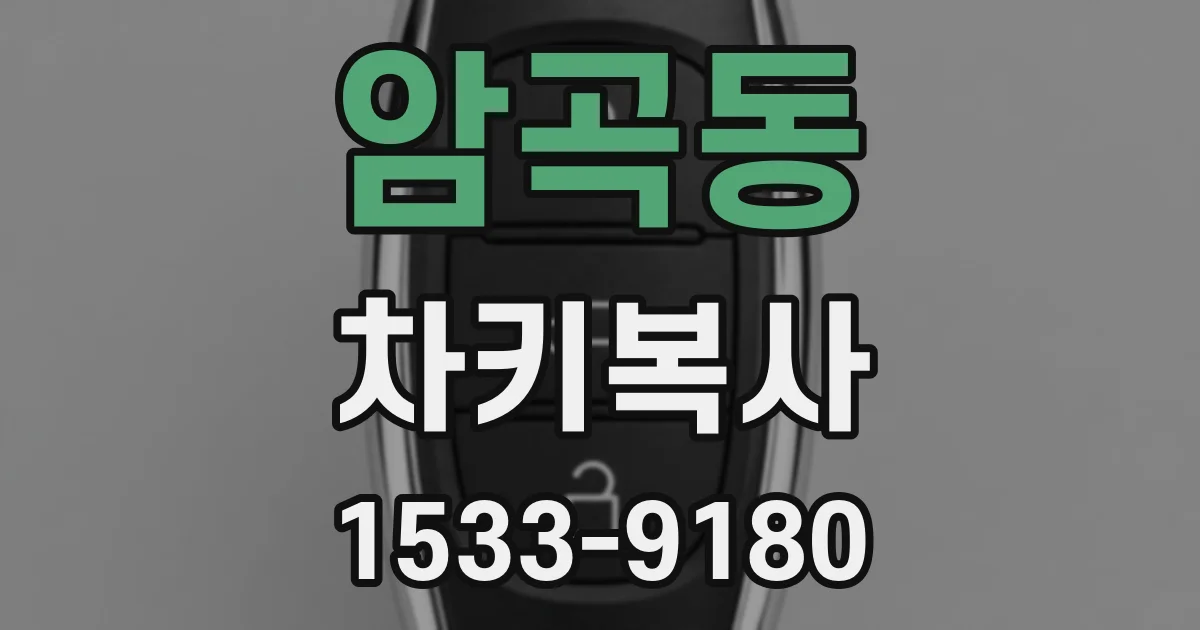 암곡동 차키복사
