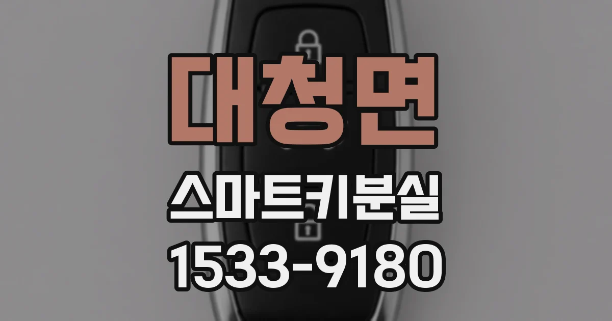 대청면 스마트키분실