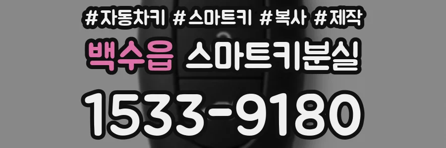 백수읍 스마트키분실