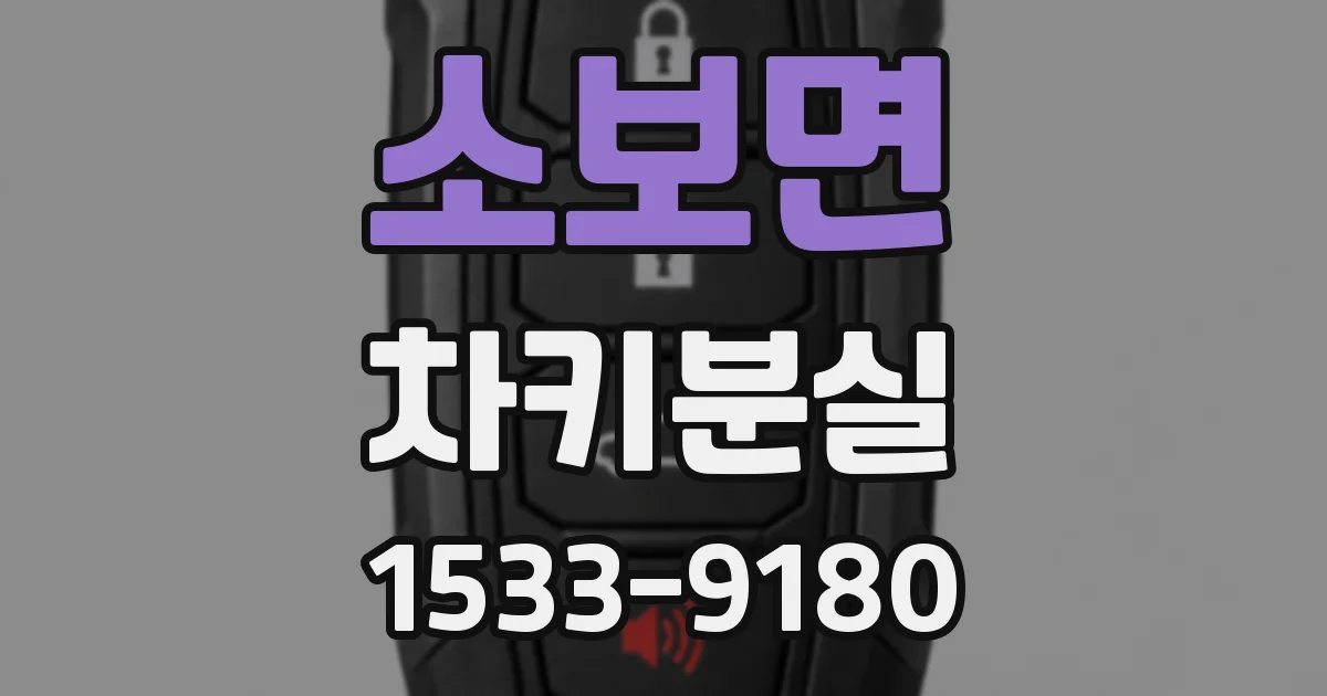 소보면 차키분실