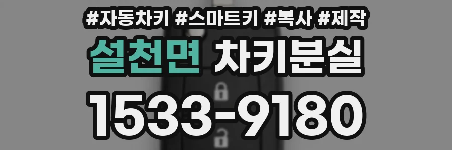 설천면 차키분실