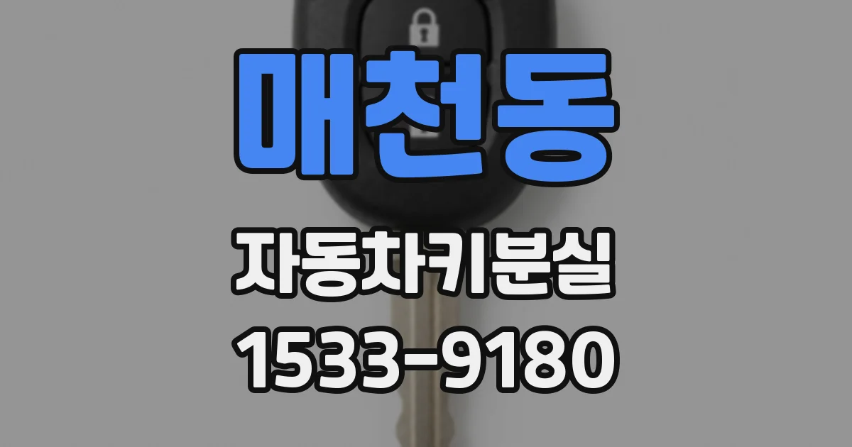 매천동 자동차키분실
