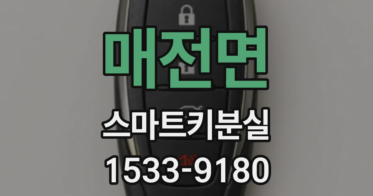 매전면 스마트키분실